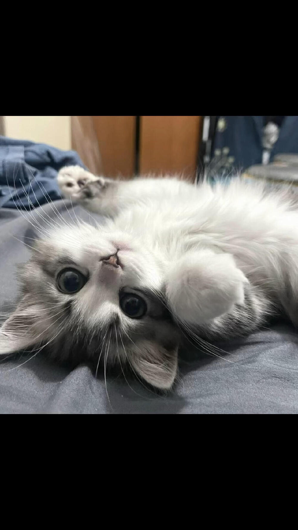 。