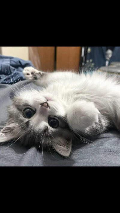 。