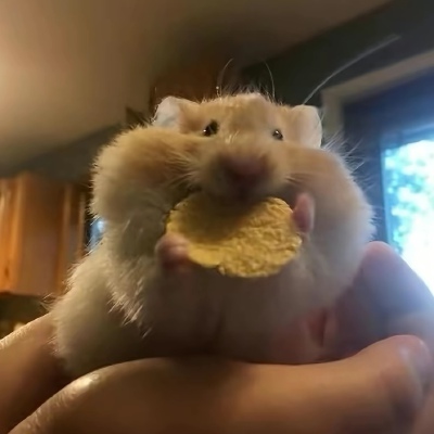 ～