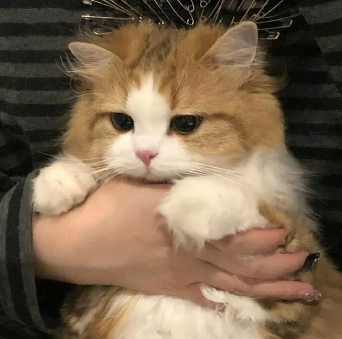 。
