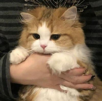 。