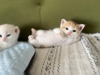 ～