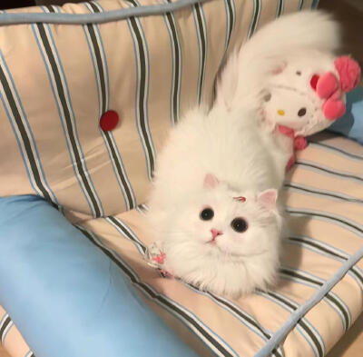 。
