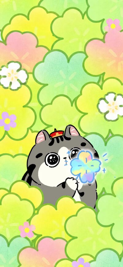 from 网络