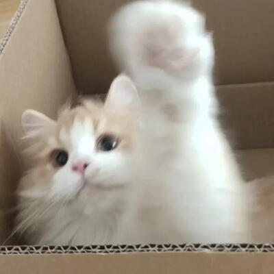 。