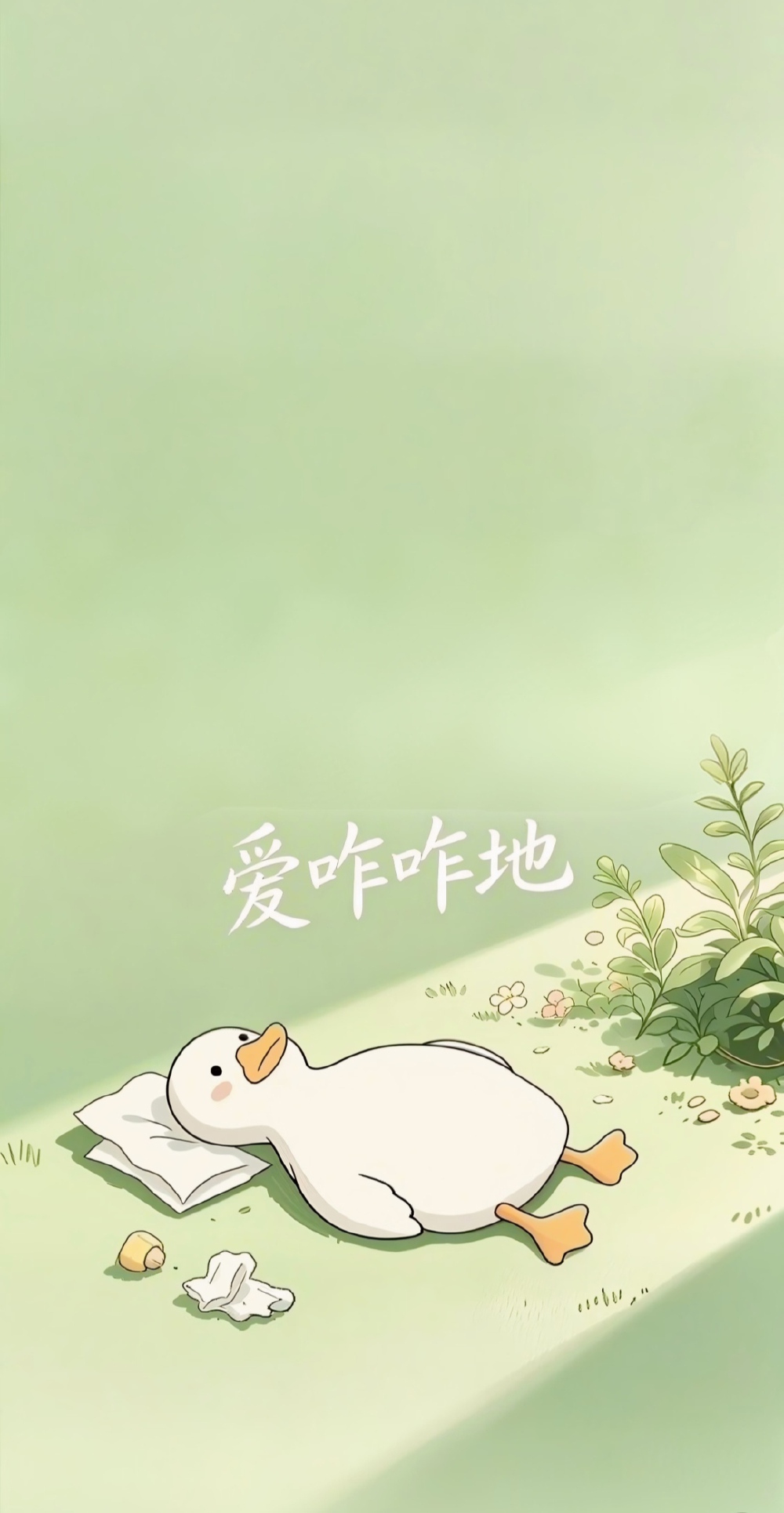 壁纸