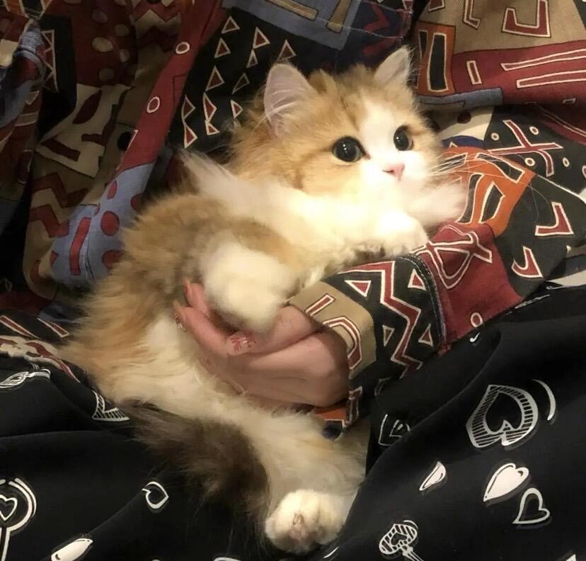 。