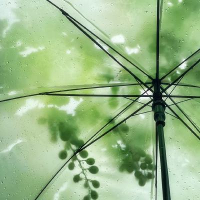 雨伞背景图