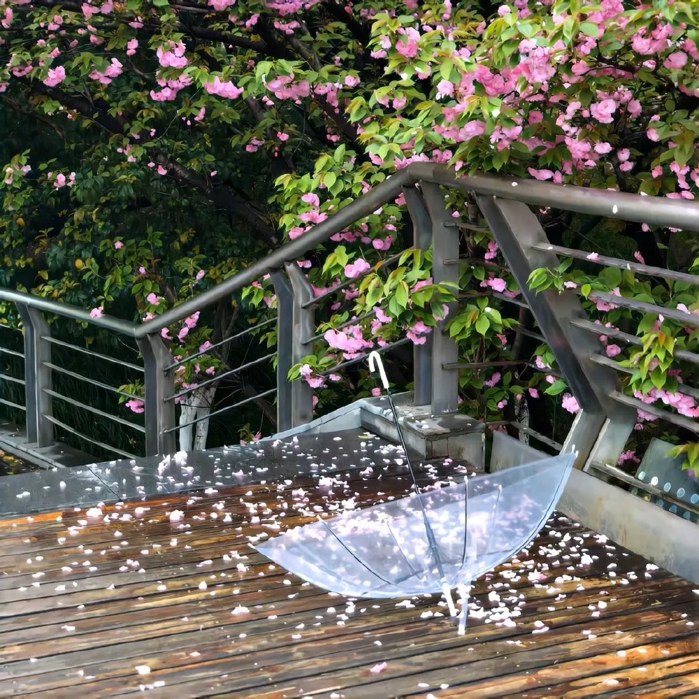 雨伞背景图