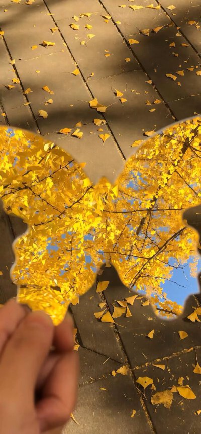 秋天手机壁纸