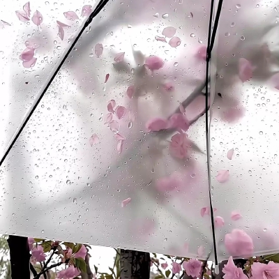 雨伞背景图