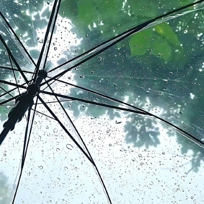雨伞背景图