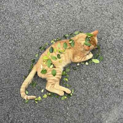 背景图