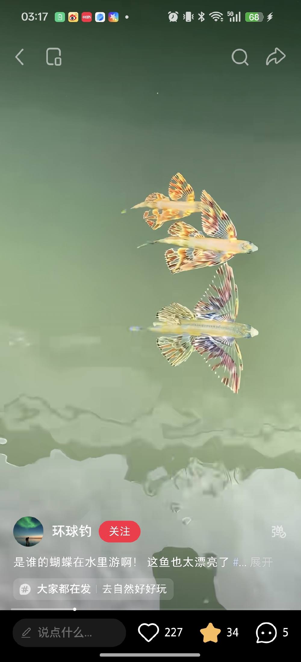 。
