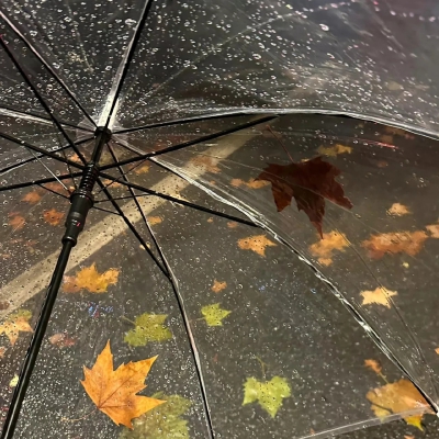 雨伞背景图