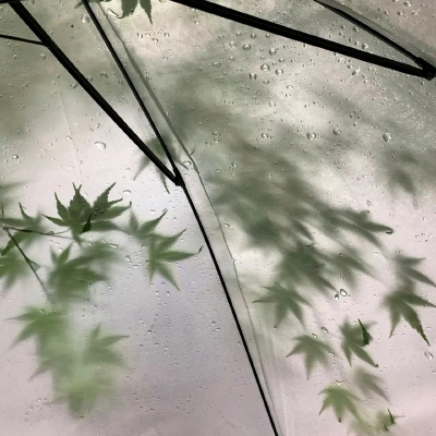 背景图