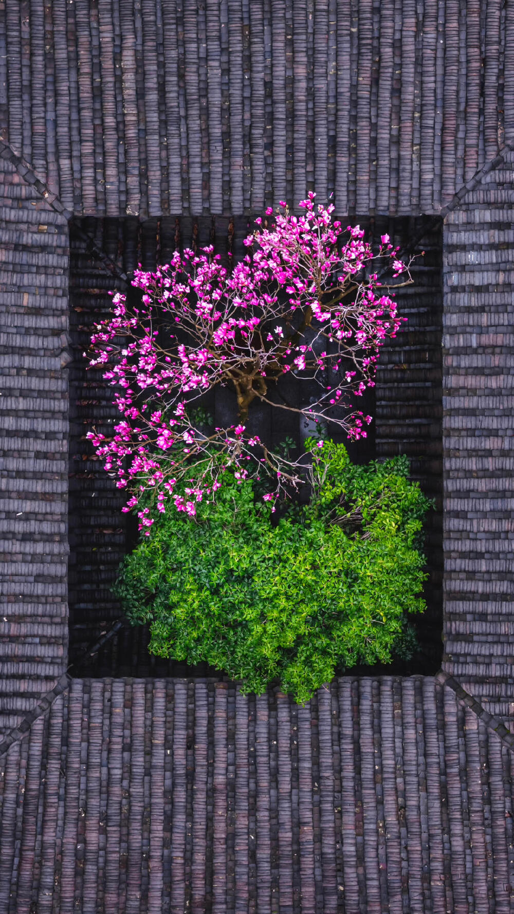 空境