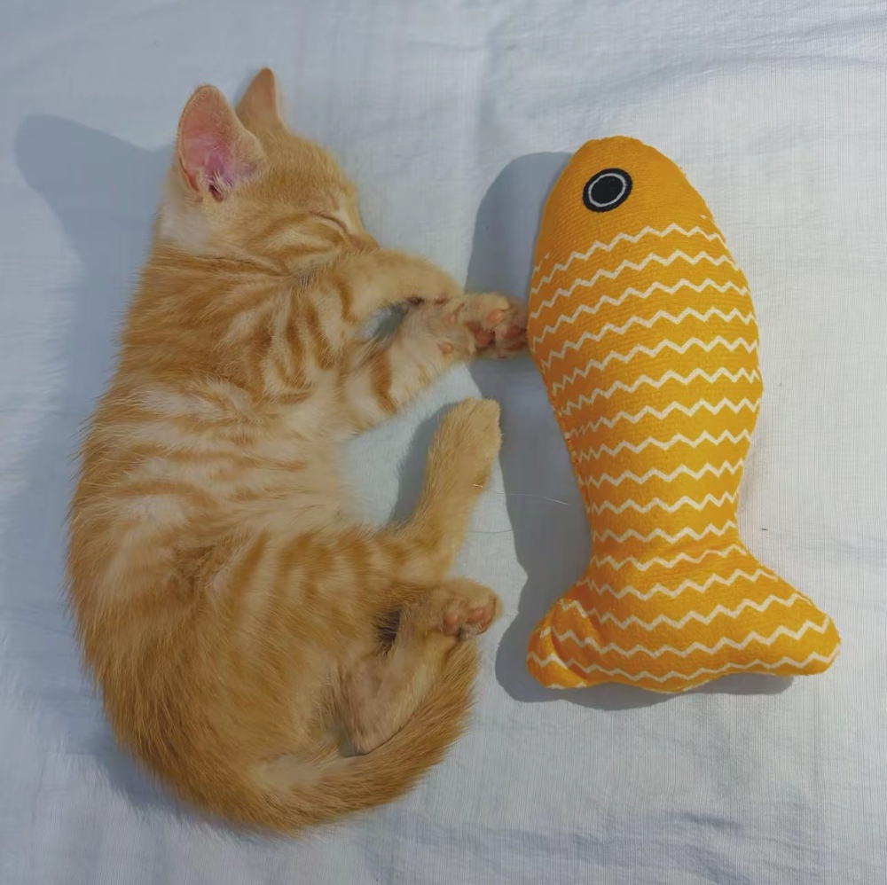 ～