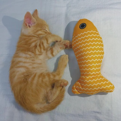 ～