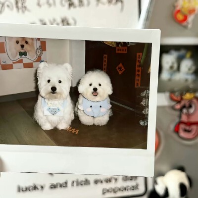 图源ks：偷喝汽水