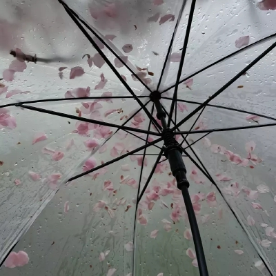 雨伞背景图
