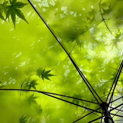 雨伞背景图