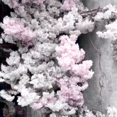 粉色系背景图