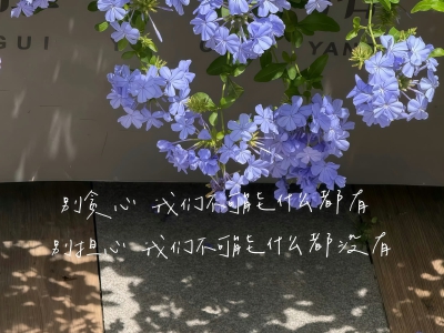 酷