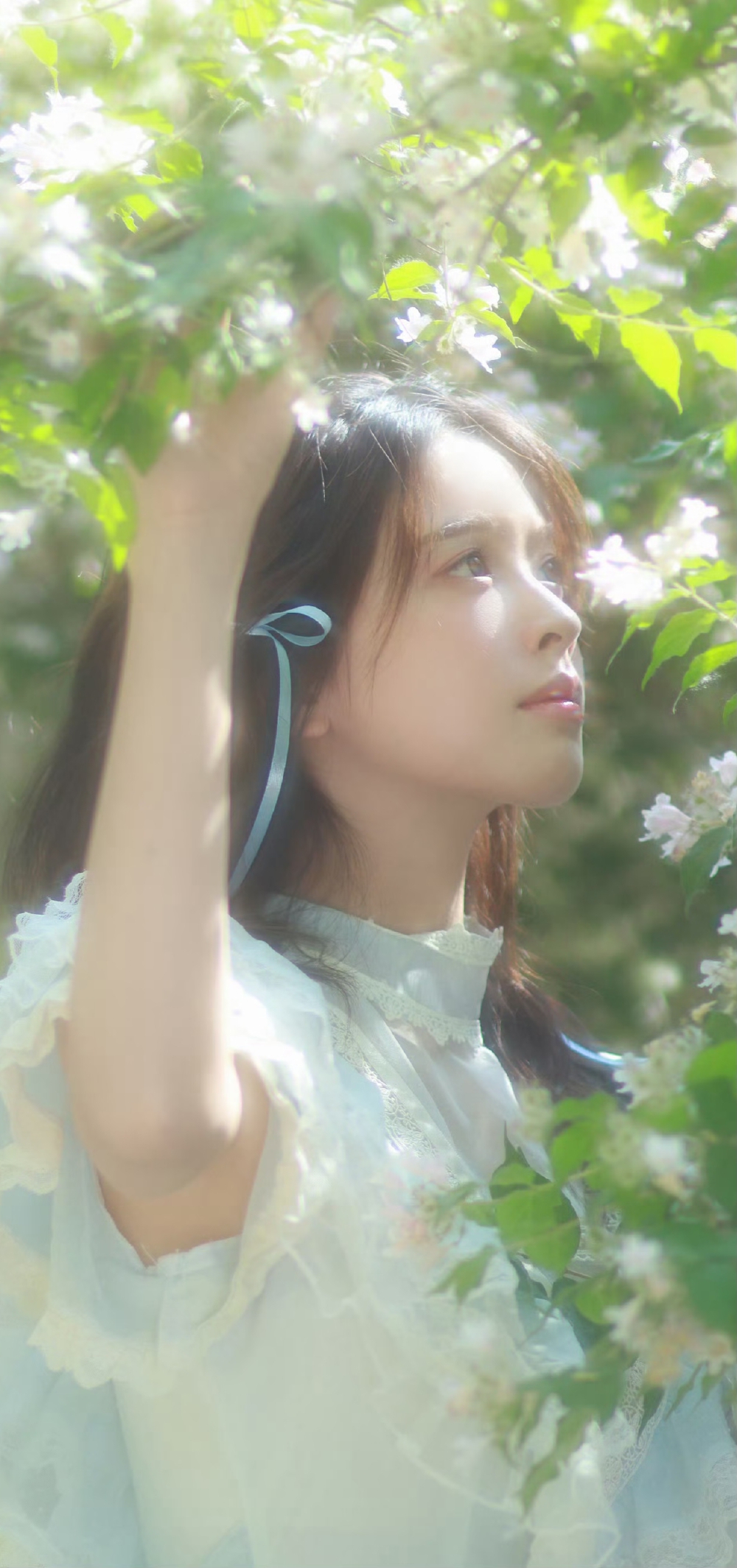 宋芳园