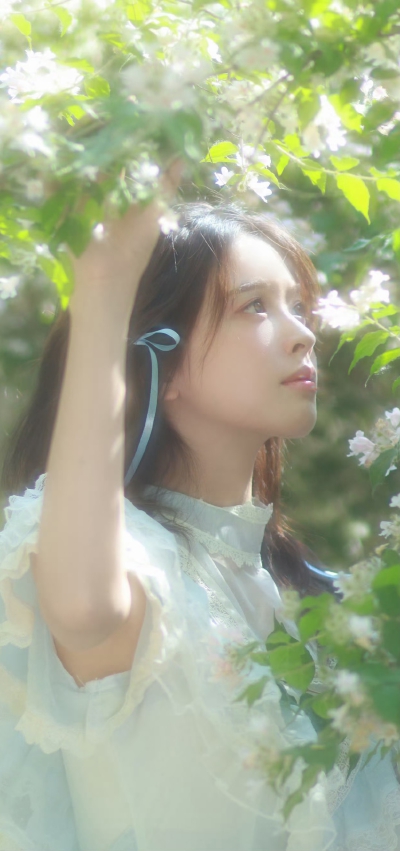 宋芳园