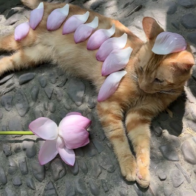 ～