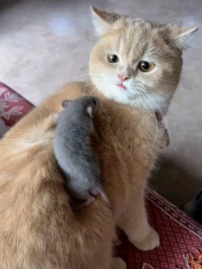 ～