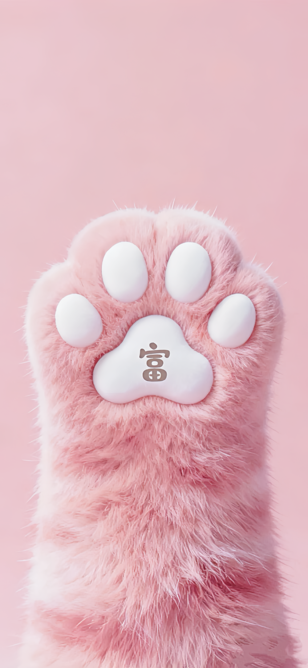 壁纸