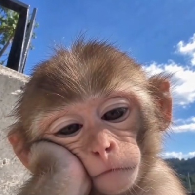 ～