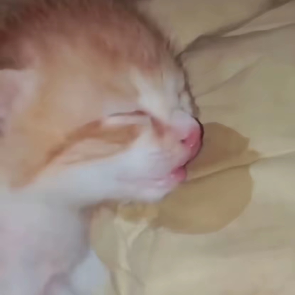 ～