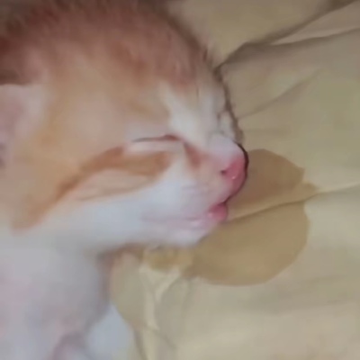 ～