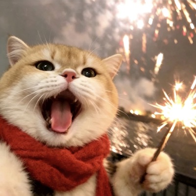 123
