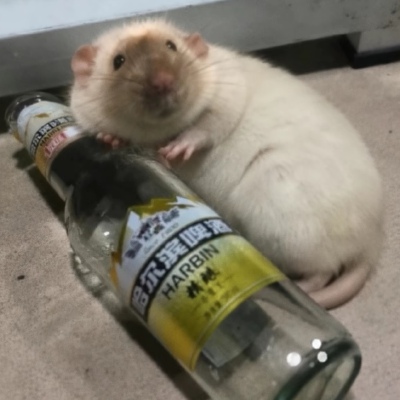 ～