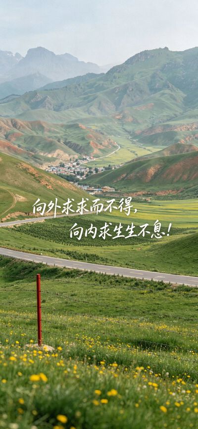 壁纸