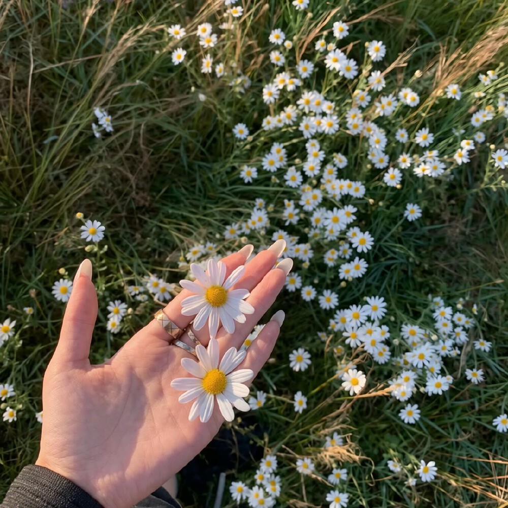 图源ks：偷喝汽水