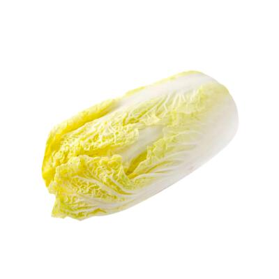 蔬菜白底头像