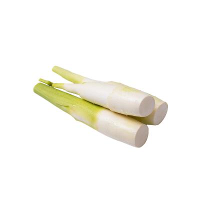 蔬菜白底头像