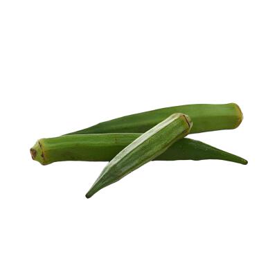 蔬菜白底头像
