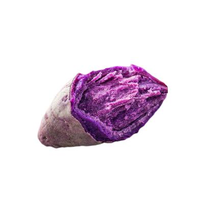 蔬菜白底头像