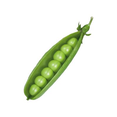 蔬菜白底头像