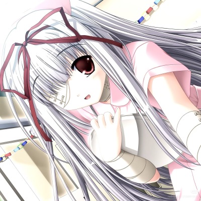 Animecore/galgame/二次元