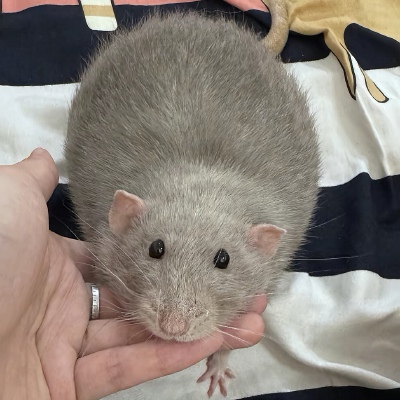 ～