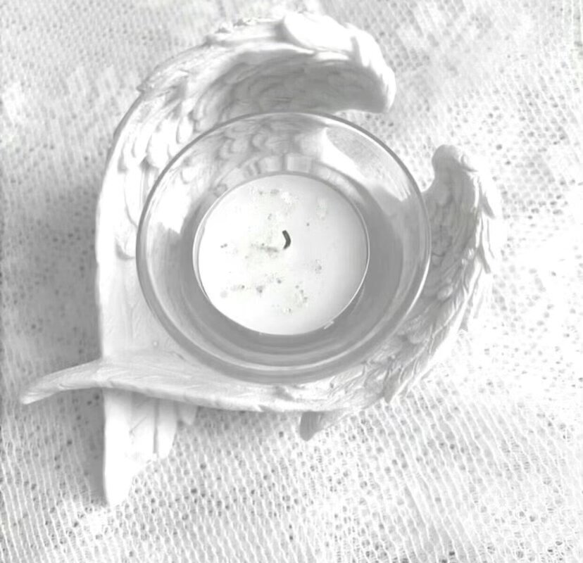 白色系