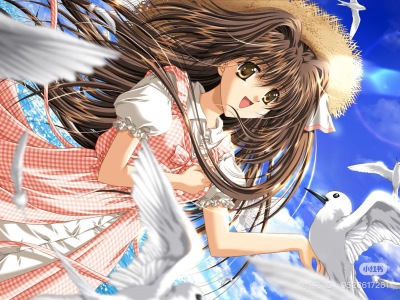 Animecore/galgame/二次元