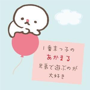 圆圆七兄弟
まんまる7兄弟